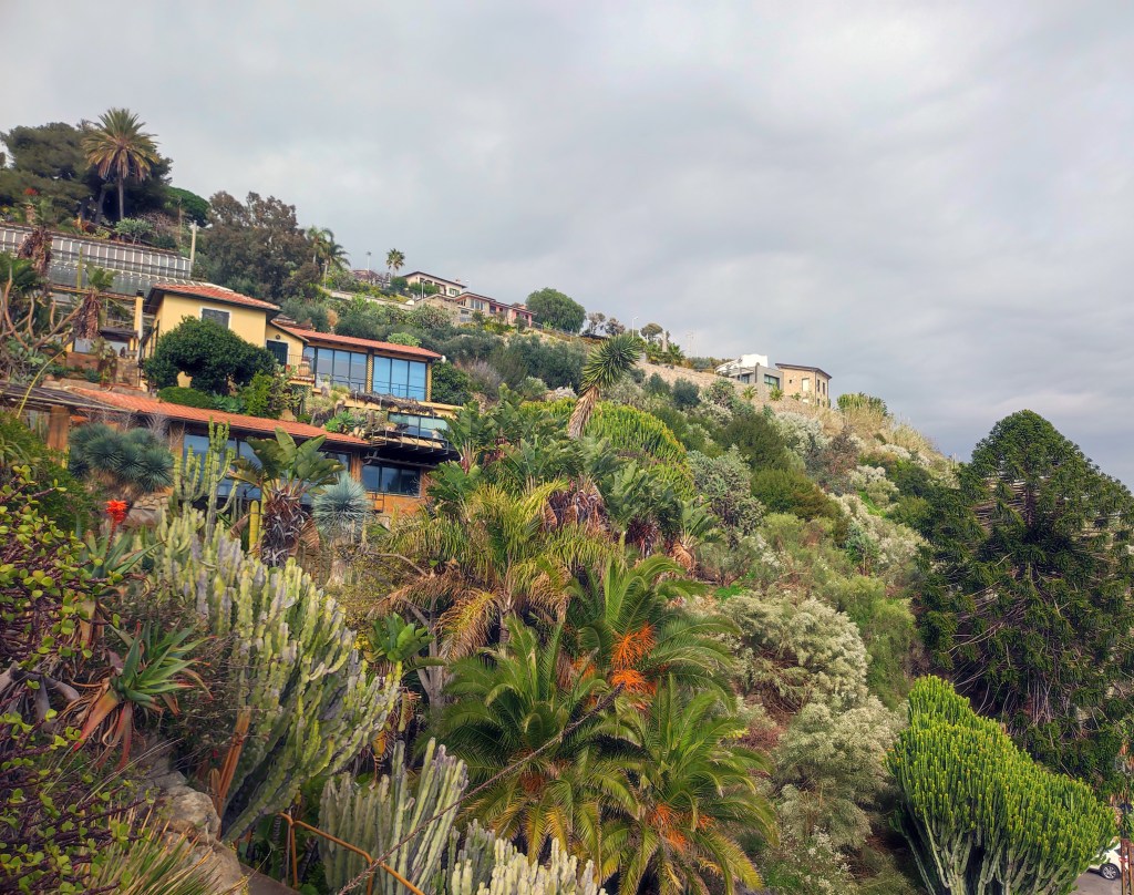 Cactus fronte mare: il Giardino Esotico&nbsp;Pallanca