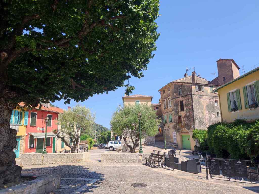 Gorbio e l’olmo del&nbsp;1700